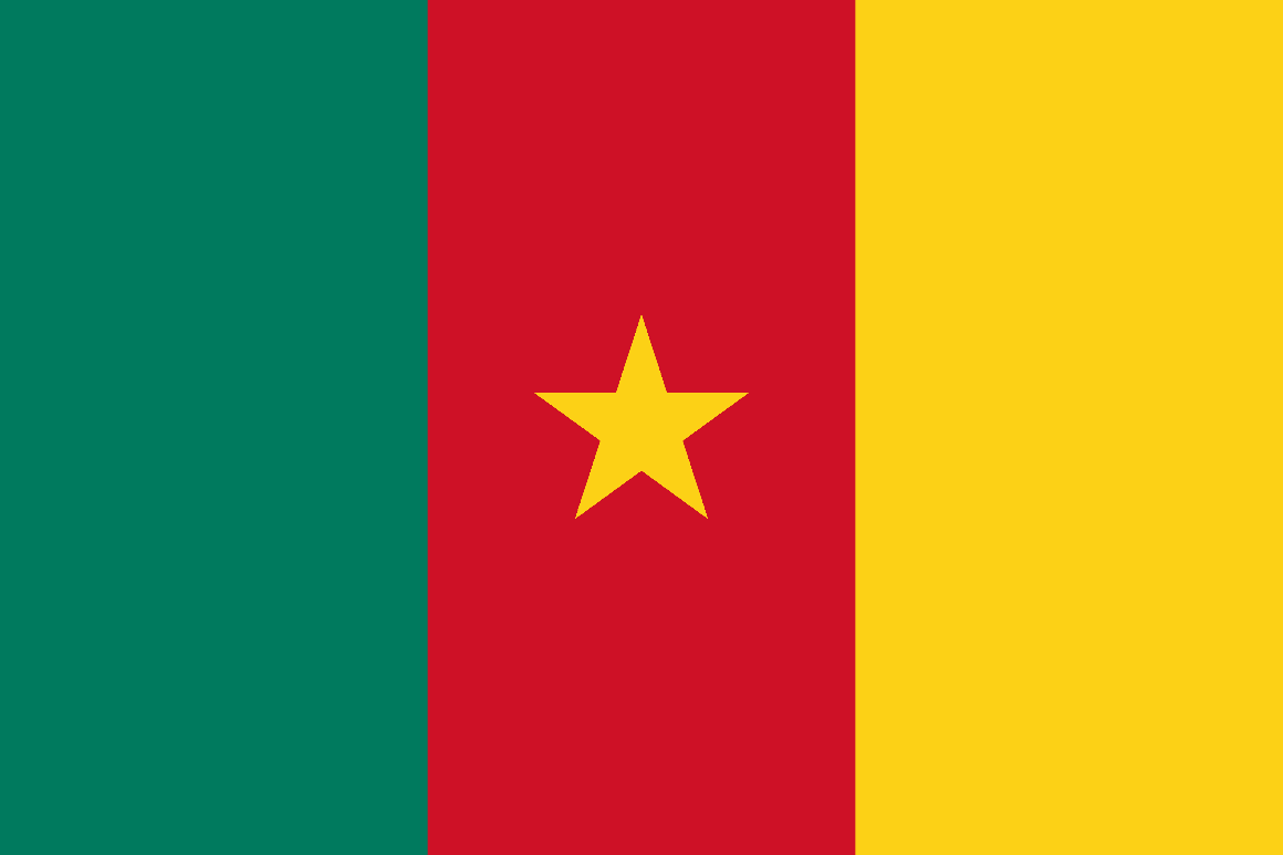 Cameroon flag